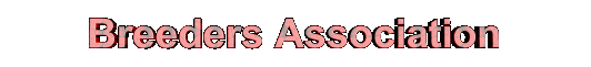 header2.gif (70351 bytes)